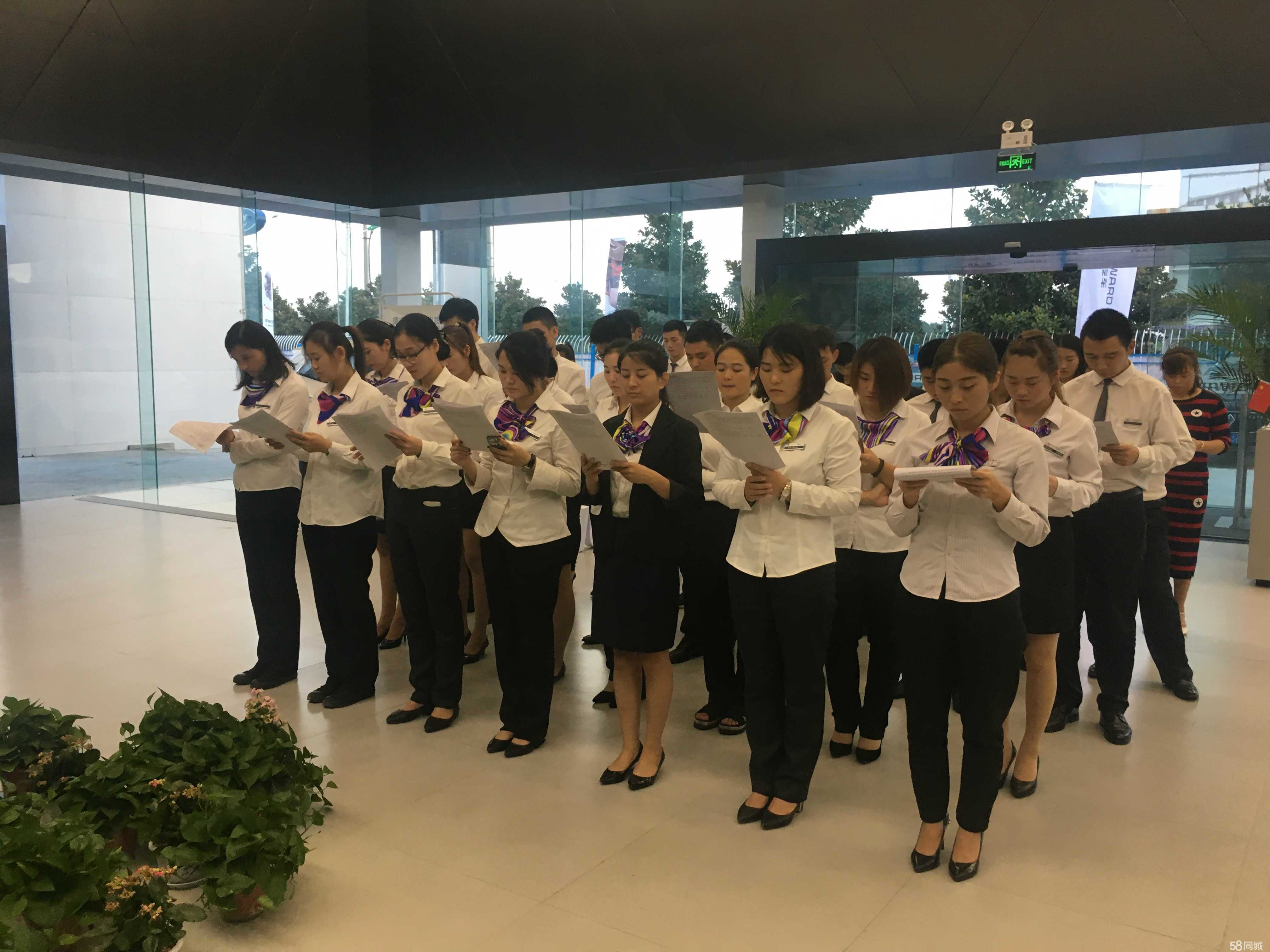 驻马店市宝沃汽车 领跑新能源汽车销售新潮流